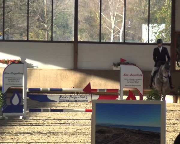 Reitturnier Langenfeld - Gut Langfort 2020