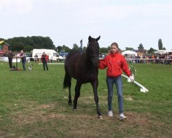 horse Fürstin (Westphalian, 2010, from Fürstenball)