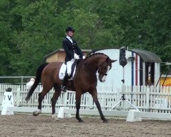 dressage horse Ravallo 24 (Rhinelander, 2005, from Rubens)