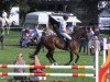 jumper Girondo U (Hanoverian, 2009, from Graf Grannus)