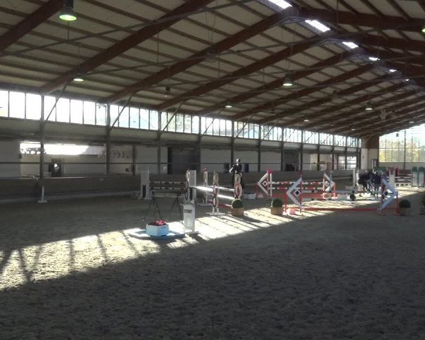 Reitturnier Langenfeld - Gut Langfort 2020