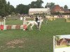 jumper Ravina snow (Hanoverian, 1996, from Rabino)