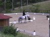 Zuchtstute Galopinne van het Netehof (Belgisches Warmblut, 2006, von Casano)