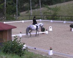 broodmare Galopinne van het Netehof (Belgian Warmblood, 2006, from Casano)