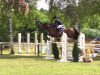 jumper Just for you 6 (Hanoverian, 2007, from Just Do It)