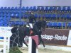 jumper New Generation 4 (Hanoverian, 2009, from Now Or Never M)