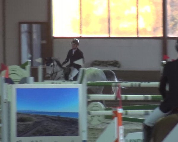 Reitturnier Langenfeld - Gut Langfort 2020