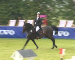 dressage horse Fashion Dreamer (Hanoverian, 2006, from Florencio I)