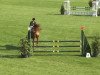 jumper Conradi 10 (Hanoverian, 2009, from Converter I)