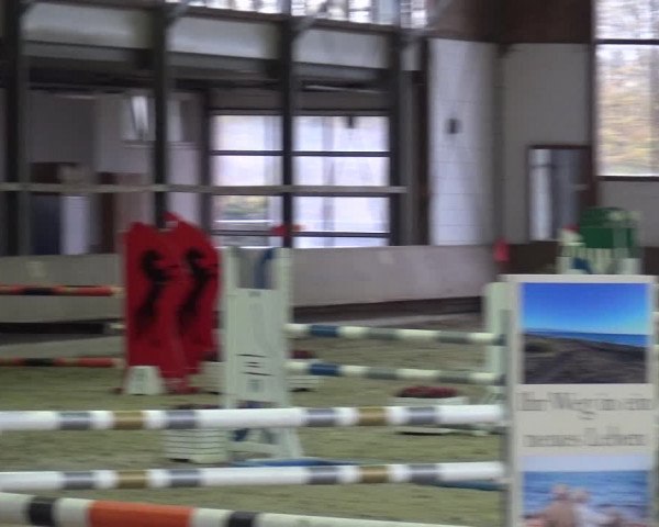 Reitturnier Langenfeld - Gut Langfort 2020