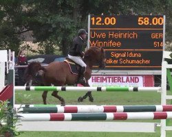 broodmare Winnifee 6 (Bavarian, 2006, from First Boy)