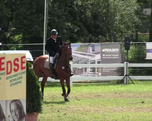 jumper Eurogirl 3 (KWPN (Royal Dutch Sporthorse), 2005, from Lupicor)