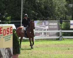 jumper Eurogirl 3 (KWPN (Royal Dutch Sporthorse), 2005, from Lupicor)