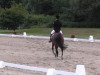 dressage horse Lankasteris (Hanoverian, 2002, from Grand Libero)