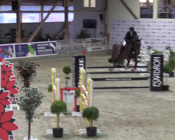 Reitturnier Negernbötel 2020, 4. Nordic Jumping event 2020/2021