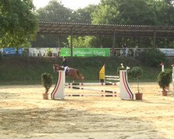 dressage horse Atlanta BE (Westphalian, 2007, from Röwer BE)