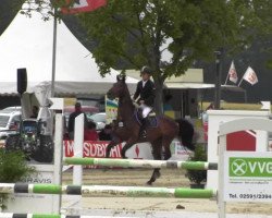 jumper Hiero 2 (Belgian Warmblood, 2007, from Warkant van het Gestelhof)