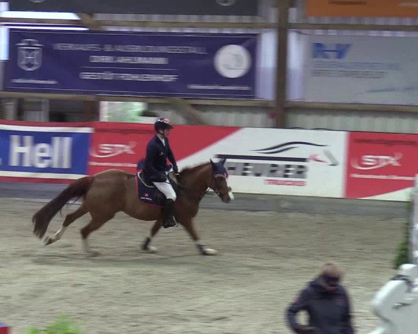 Reitturnier Negernbötel 2020, 4. Nordic Jumping event 2020/2021