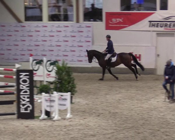 Reitturnier Negernbötel 2020, 4. Nordic Jumping event 2020/2021