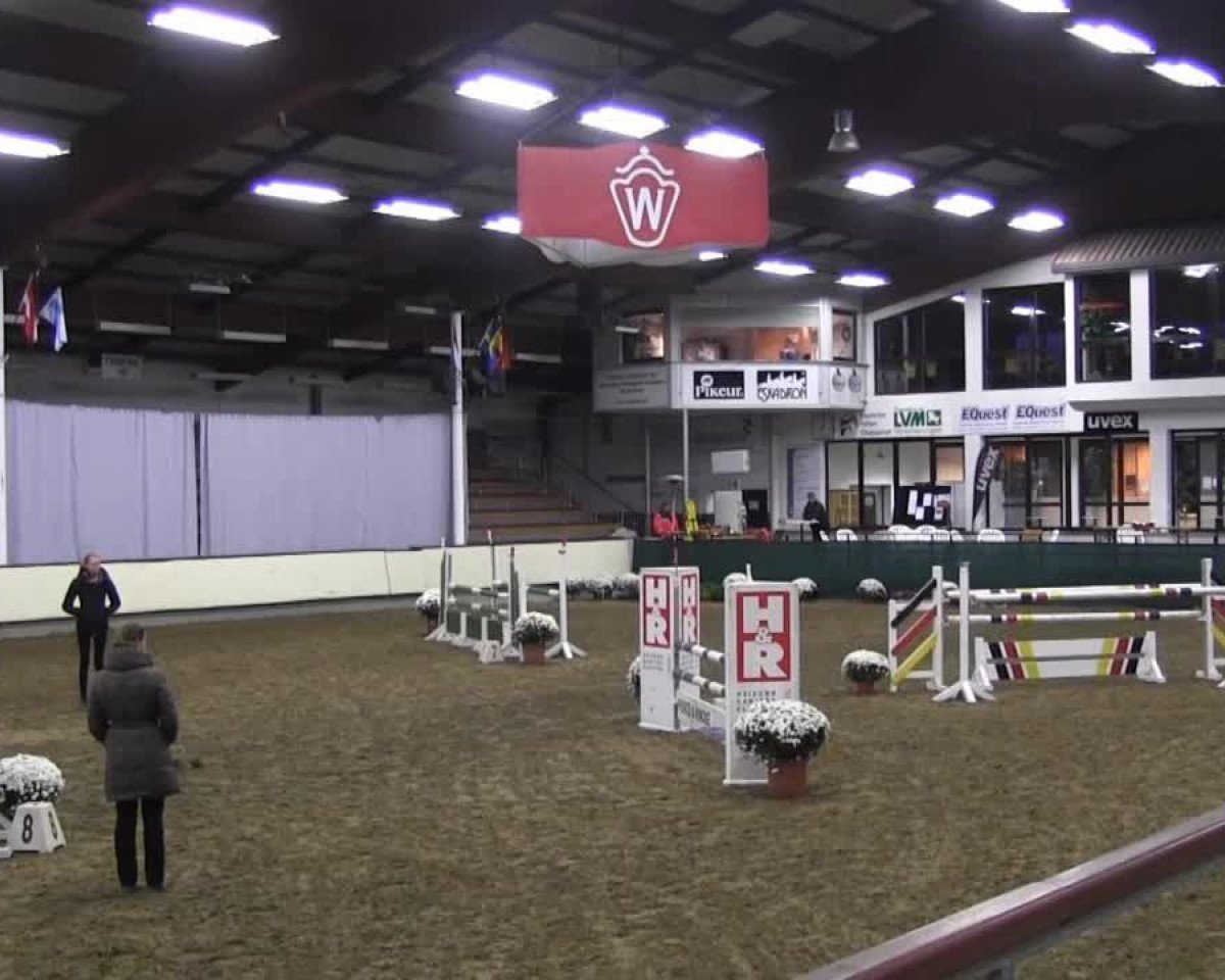 jumper Campino G 2 (Westphalian, 2009, from Coronas 2)