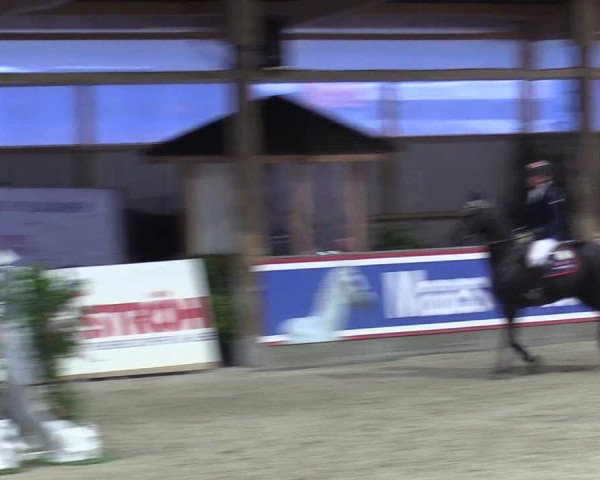 Reitturnier Negernbötel 2020, 4. Nordic Jumping event 2020/2021