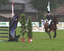 dressage horse Chapril (German Riding Pony, 2008, from Fs Chiwago)