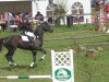 dressage horse Leonore 12 (Trakehner, 2005, from King Arthur TSF)