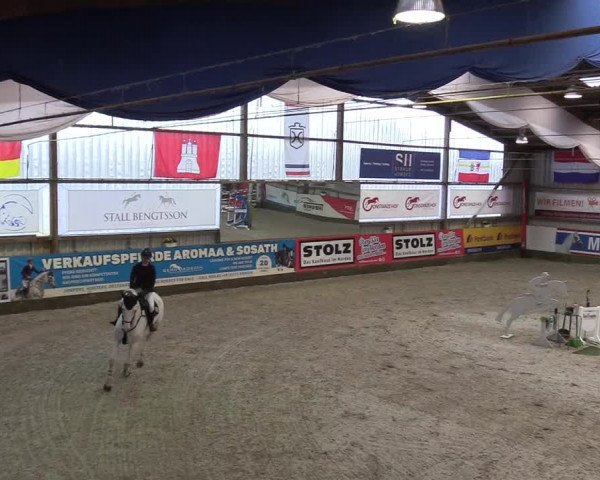 Reitturnier Negernbötel 2020, 4. Nordic Jumping event 2020/2021