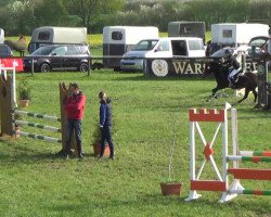 dressage horse Sonnenschein 53 (German Riding Pony, 2006, from Holsteins Woodstock)