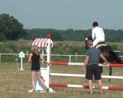 jumper Feldgoldhermione (Oldenburg, 2008, from Heraldik xx)