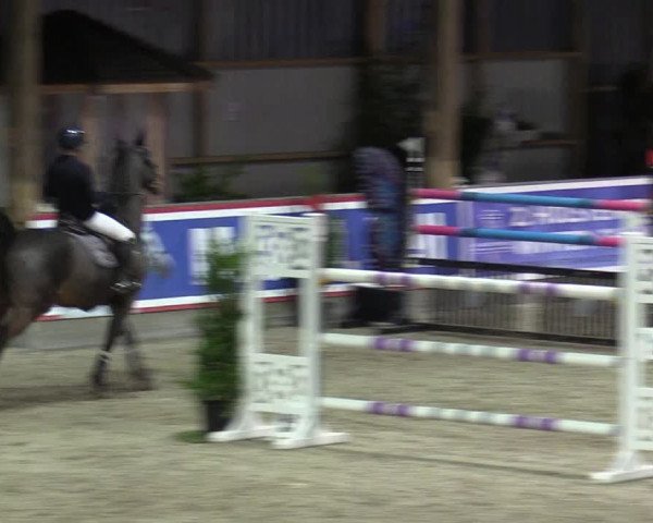 Reitturnier Negernbötel 2020, 4. Nordic Jumping event 2020/2021