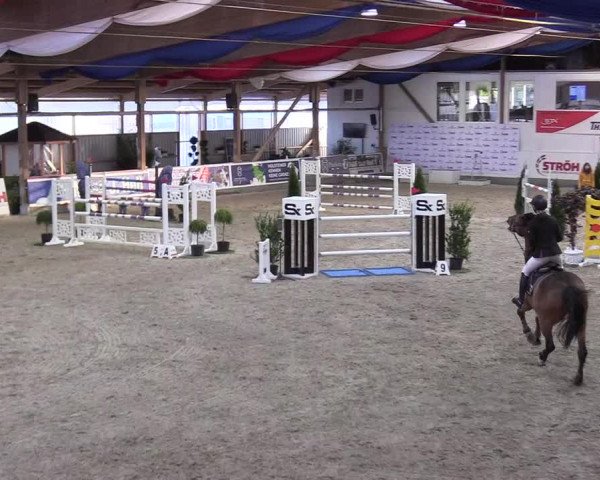 Reitturnier Negernbötel 2020, 4. Nordic Jumping event 2020/2021
