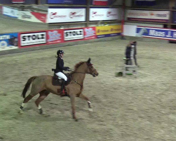 Reitturnier Negernbötel 2020, 4. Nordic Jumping event 2020/2021