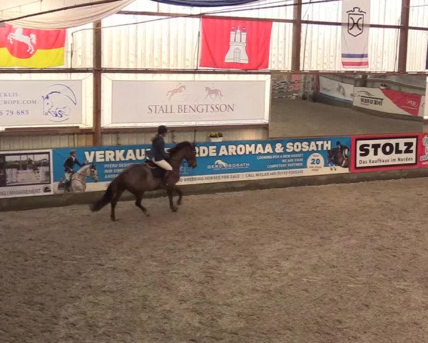 Reitturnier Negernbötel 2020, 4. Nordic Jumping event 2020/2021