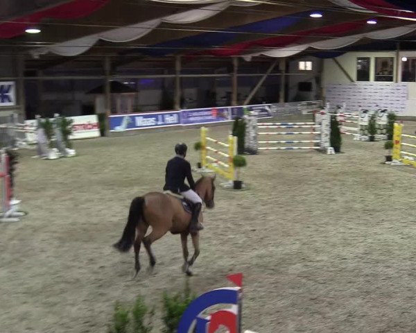 Reitturnier Negernbötel 2020, 4. Nordic Jumping event 2020/2021