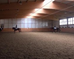 dressage horse Little Lucy 10 (Rhinelander, 2007, from Lancado)