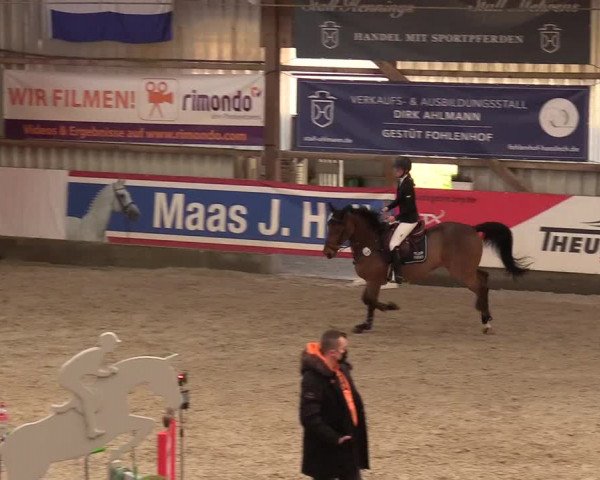 Reitturnier Negernbötel 2020, 4. Nordic Jumping event 2020/2021