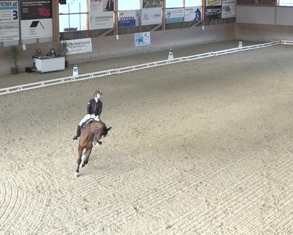 Reitturnier Schaffhausen 2020