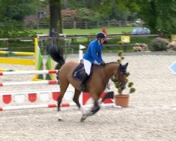 broodmare Centana (Oldenburg show jumper, 2007, from Centadel)