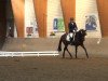 dressage horse Feeling 48 (Westphalian, 2008, from Florestan I)