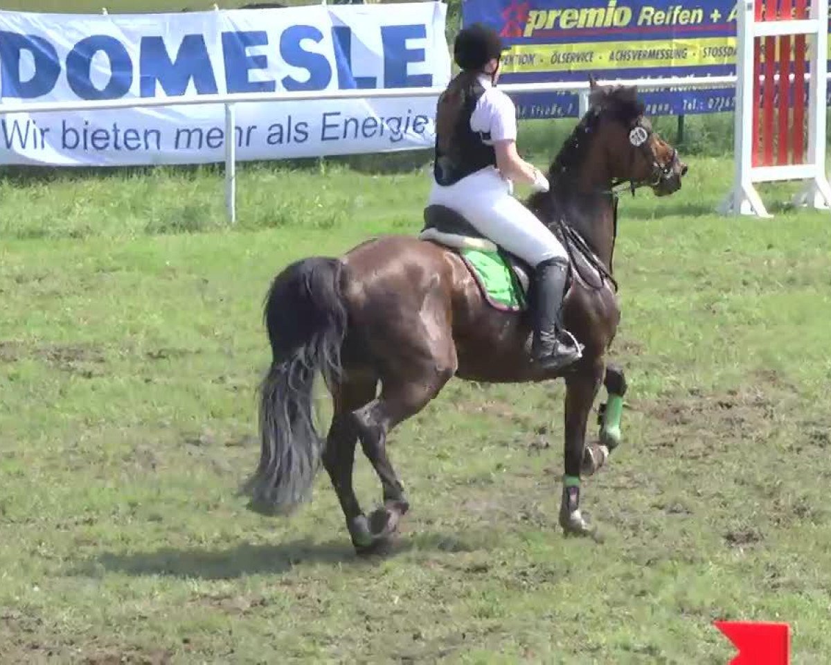 broodmare Lena 302 (Rhinelander, 2000, from Libero)