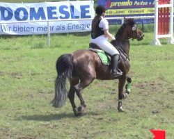 broodmare Lena 302 (Rhinelander, 2000, from Libero)