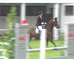 jumper Aragorn 88 (Oldenburg show jumper, 2004, from Araconit)