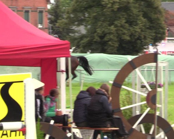 Reitturnier Altmittweida 2021