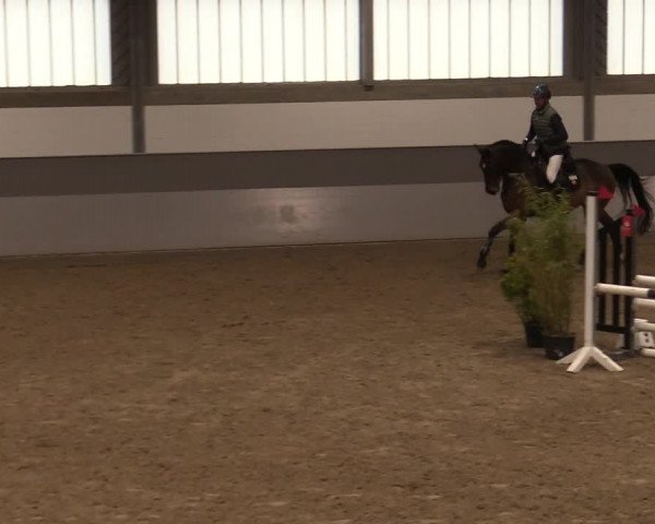 Reitturnier Luhmühlen 2020