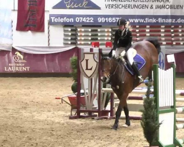 jumper Krottenthal's Coohugoo (Bavarian, 2004, from Cosino B)