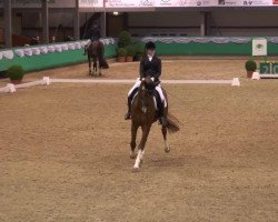 dressage horse Feinsinn's Flaeme (Rhinelander, 2005, from Feinsinn)