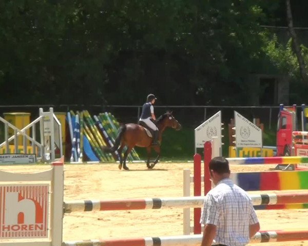 jumper Mon Ami 101 (German Riding Pony, 2000, from Monte Verdi)