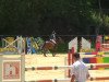 jumper Mon Ami 101 (German Riding Pony, 2000, from Monte Verdi)