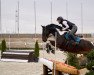 jumper Finn Florisson (Pinto / Small Riding Horse, 2010, from Floris)